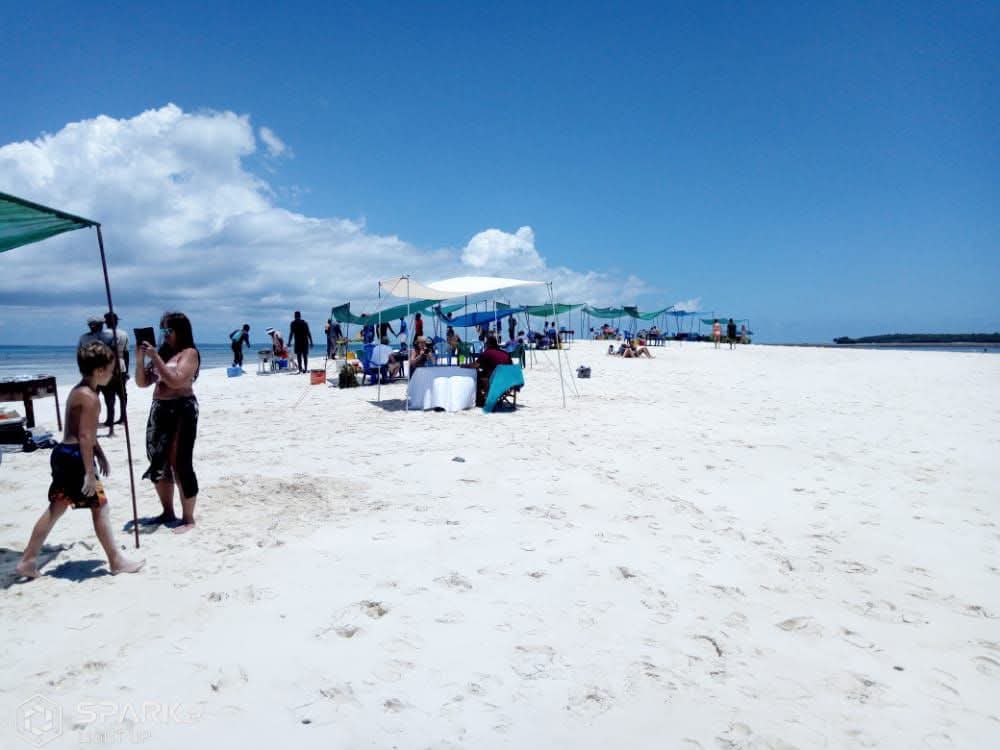 Sandbank tour - ZanTrip&Tours 